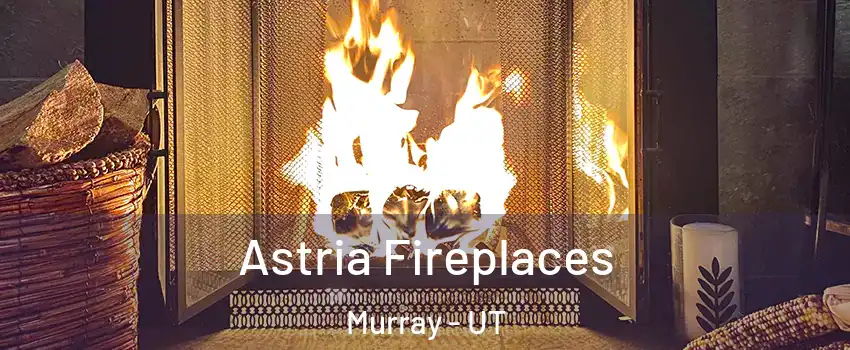  Astria Fireplaces Murray - UT