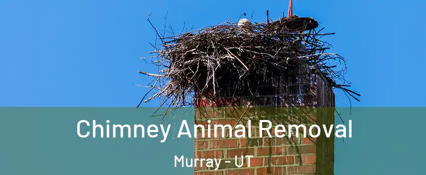 Chimney Animal Removal Murray - UT