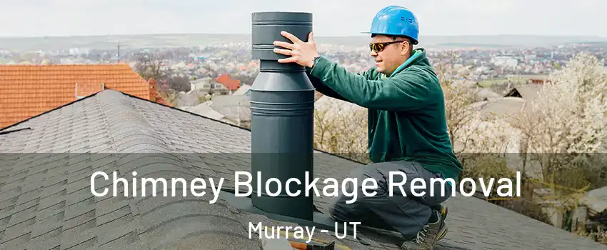  Chimney Blockage Removal Murray - UT