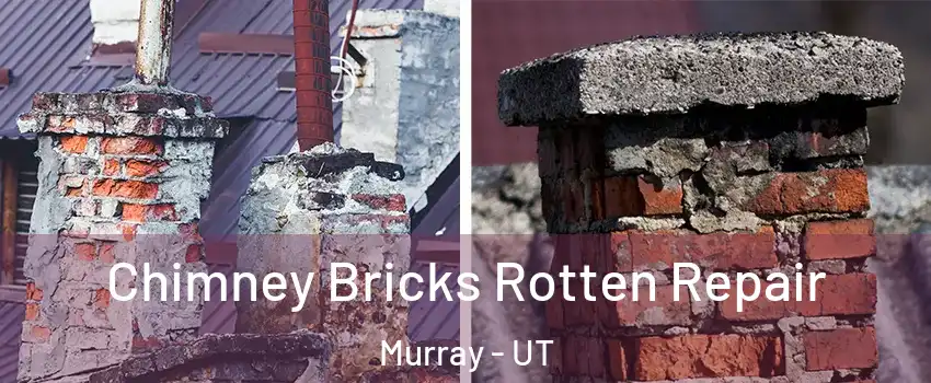  Chimney Bricks Rotten Repair Murray - UT