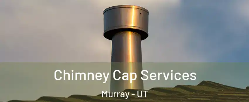  Chimney Cap Services Murray - UT