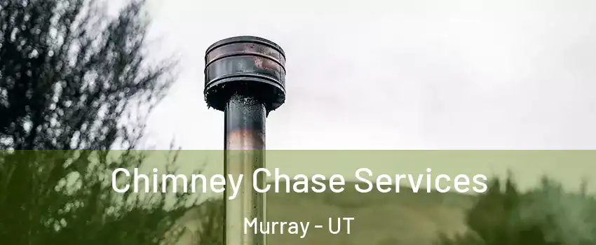  Chimney Chase Services Murray - UT