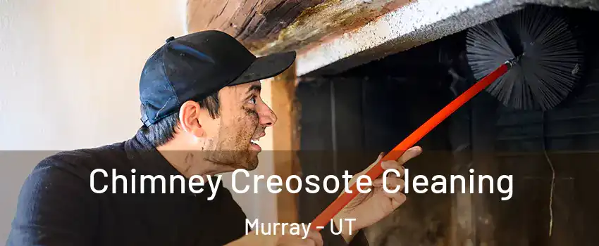  Chimney Creosote Cleaning Murray - UT