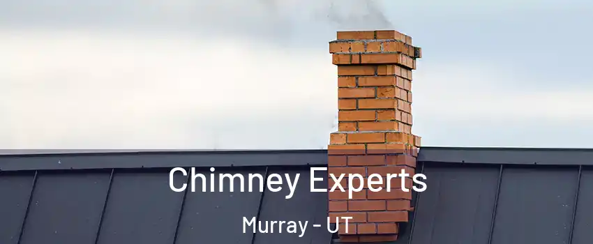 Chimney Experts Murray - UT