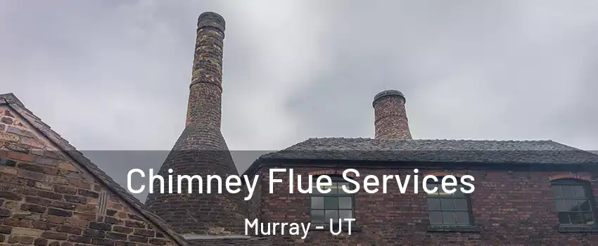 Chimney Flue Services Murray - UT