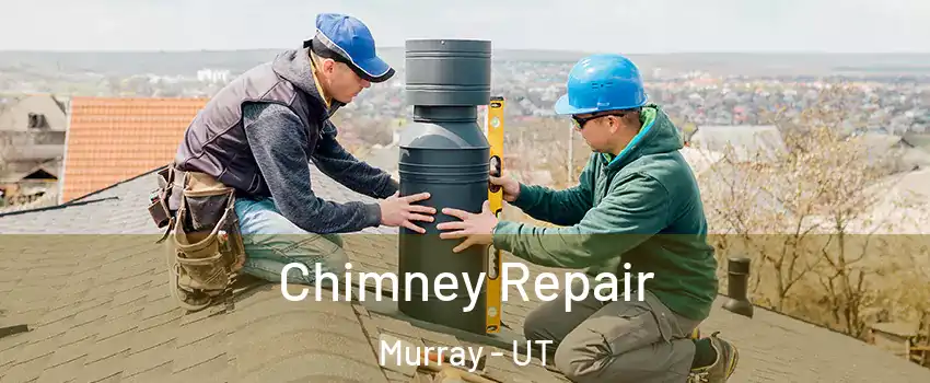  Chimney Repair Murray - UT