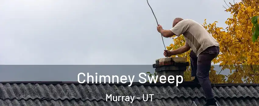  Chimney Sweep Murray - UT