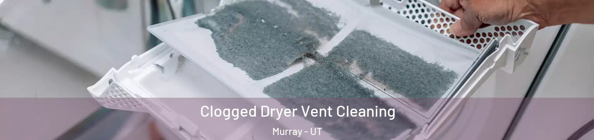  Clogged Dryer Vent Cleaning Murray - UT