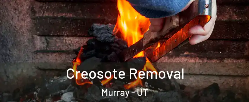  Creosote Removal Murray - UT
