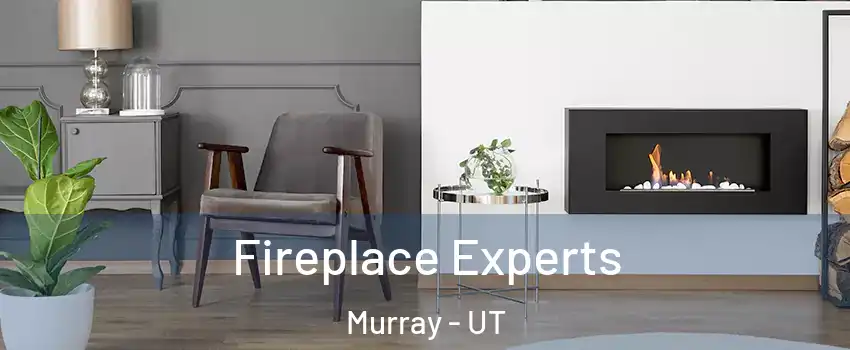  Fireplace Experts Murray - UT