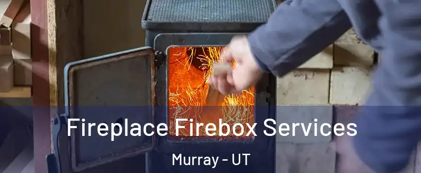  Fireplace Firebox Services Murray - UT