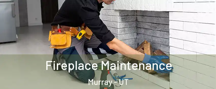  Fireplace Maintenance Murray - UT