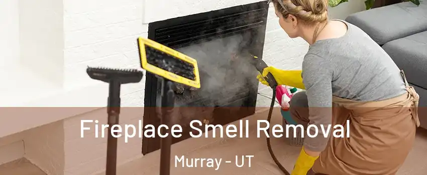  Fireplace Smell Removal Murray - UT