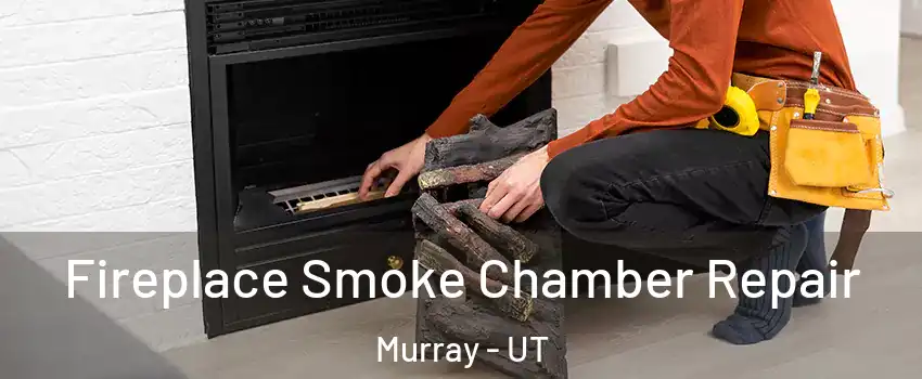  Fireplace Smoke Chamber Repair Murray - UT