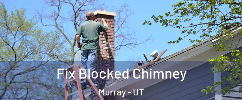  Fix Blocked Chimney Murray - UT