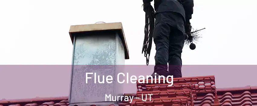  Flue Cleaning Murray - UT