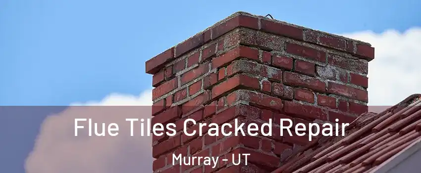  Flue Tiles Cracked Repair Murray - UT