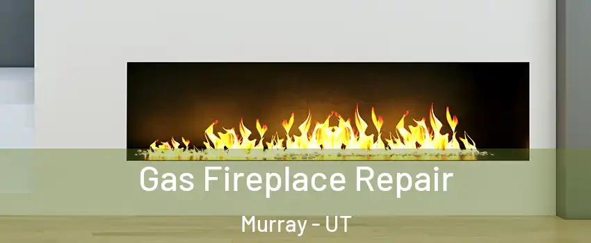  Gas Fireplace Repair Murray - UT