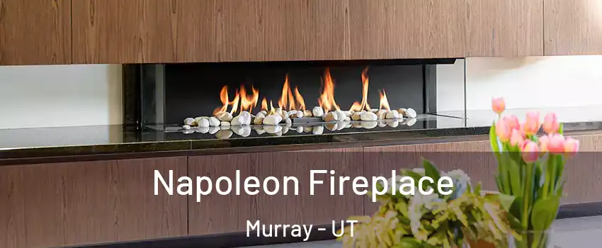  Napoleon Fireplace Murray - UT