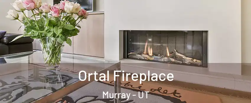 Ortal Fireplace Murray - UT
