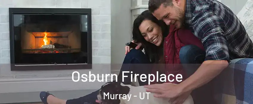  Osburn Fireplace Murray - UT