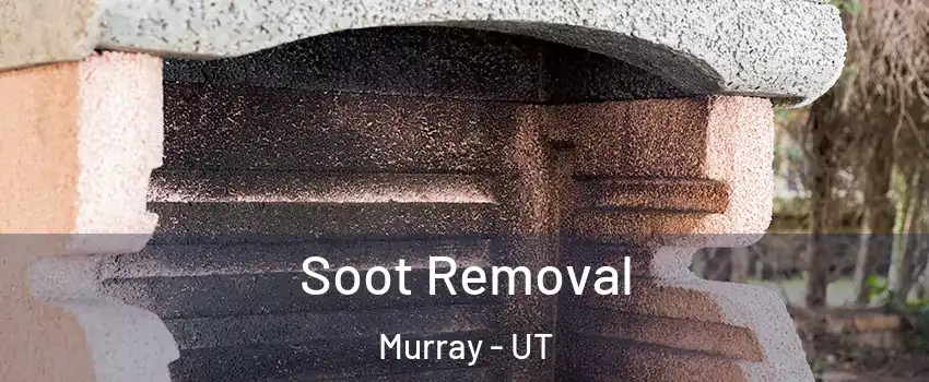  Soot Removal Murray - UT