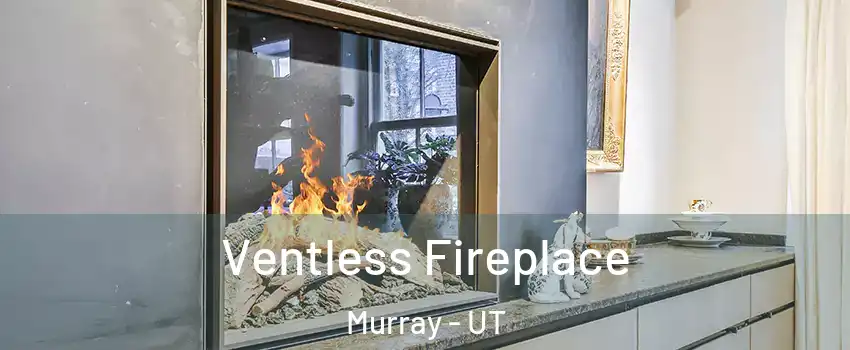  Ventless Fireplace Murray - UT
