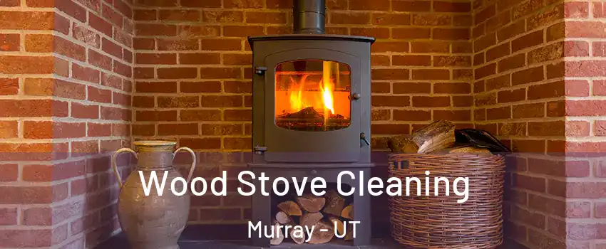 Wood Stove Cleaning Murray - UT